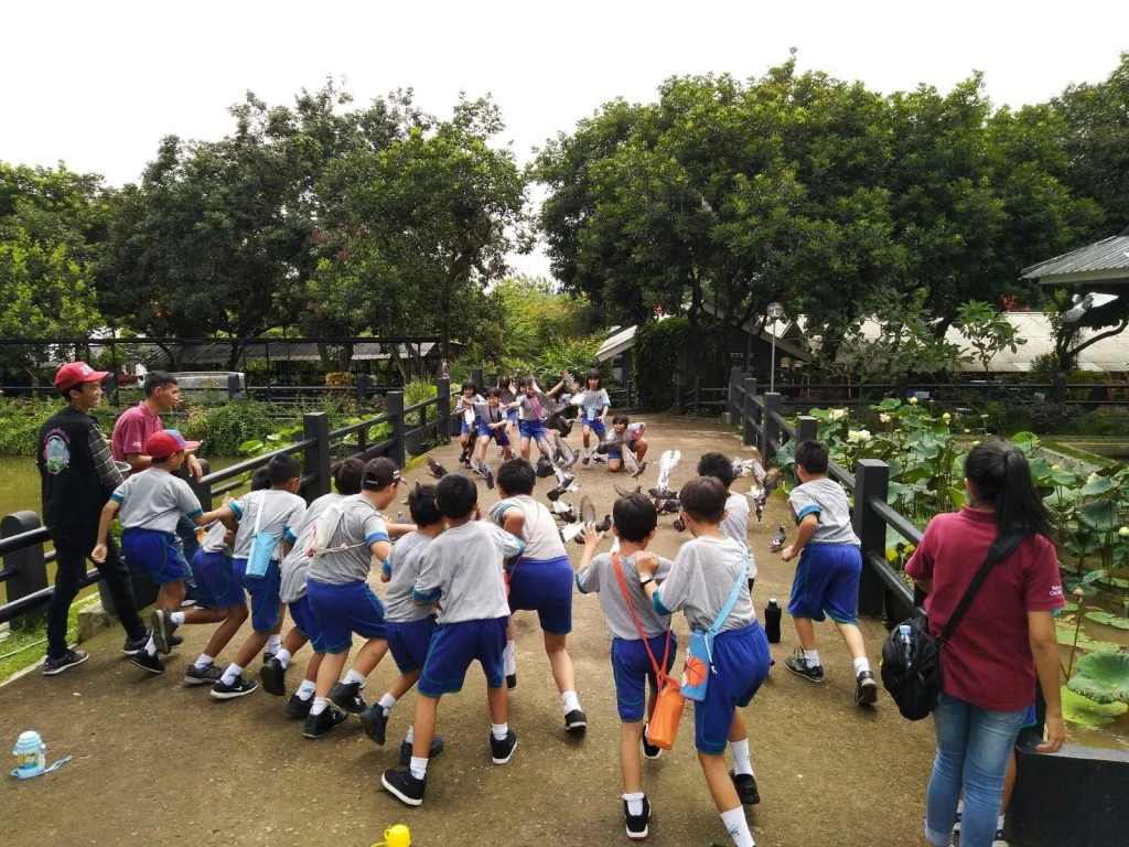 Jajandikitid Sentul Fresh Tempat Wisata Sentul Untuk Anak Jajandikitid