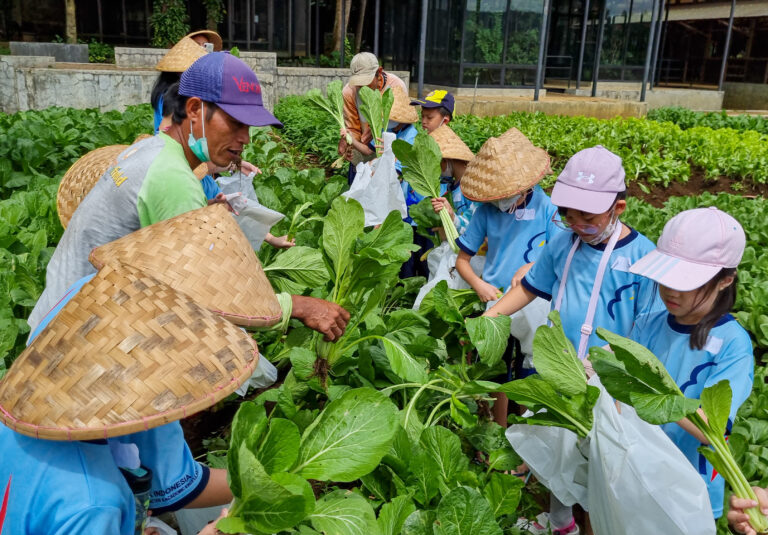kuntum farmfield tempat wisata di bogor liburan seru
