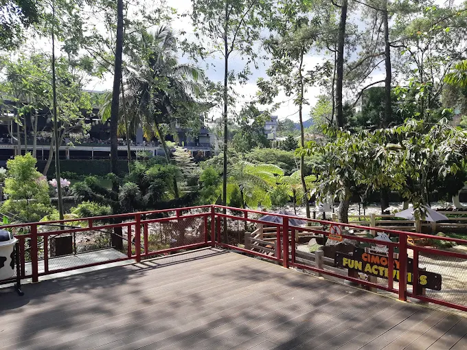 Jajandikitid Cimory Forest Walk Tempat Wisata Di Bogor Jajandikitid