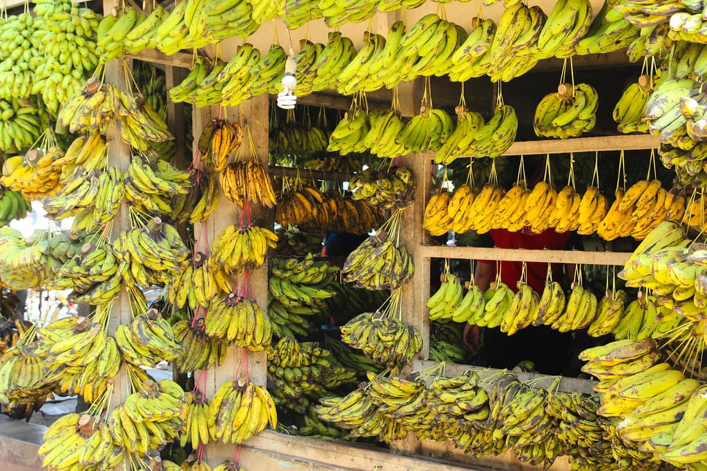 Pisang di indonesia jajandikitid pisang raja masuk dalam daftar pisang terbaik dunia versi taste atlas 2025