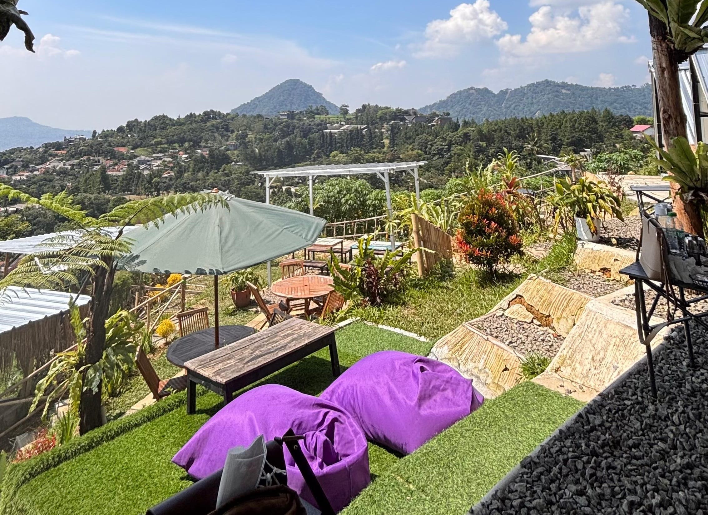 Kopi Daong, Hutan Pinus ke Tempat Ngopi Favorit Sejuta Umat