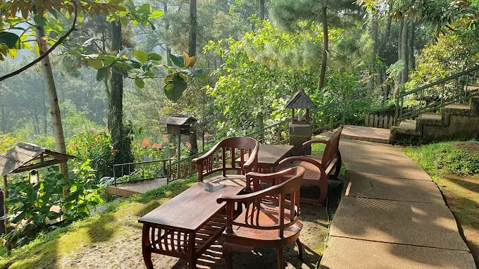 10 kafe alam pancawati jajandikitid kafe alam pancawati kafe nuansa alam di bogor