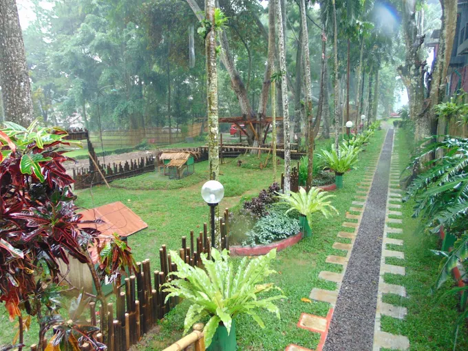 Bamboo sanctuary jajandikitid suasana di bamboo sanctuary