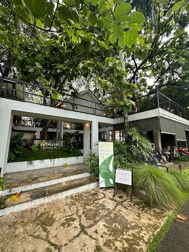 Anthology Coffee and Tea Cafe Populer Di Sentul Jajandikitid