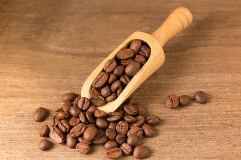 Biji Kopi Jajandikitid